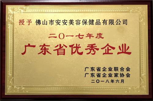 2017廣東省優(yōu)秀企業(yè)